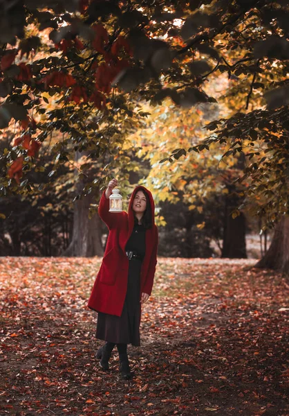 Μια Γυναίκα Που Φορούσε Ένα Μπορντό Παλτό Κρατώντας Φανάρι Φθινόπωρο — Φωτογραφία Αρχείου