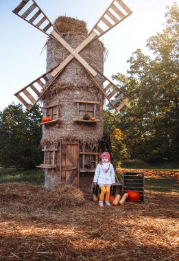 Sonbahar balkabağı hasadı. Çocuk ve portakal kabağı çiftçi pazarında ya da mevsimlik festivalde. Balkabaklarının arasında oynayan tatlı küçük kız. Şükran Günü ve Cadılar Bayramı.