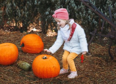 Sonbahar balkabağı hasadı. Çocuk ve portakal kabağı çiftçi pazarında ya da mevsimlik festivalde. Balkabaklarının arasında oynayan tatlı küçük kız. Şükran Günü ve Cadılar Bayramı.