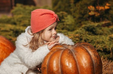 Sonbahar balkabağı hasadı. Çocuk ve portakal kabağı çiftçi pazarında ya da mevsimlik festivalde. Balkabaklarının arasında oynayan tatlı küçük kız. Şükran Günü ve Cadılar Bayramı.