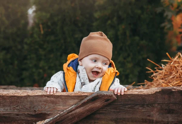 Uma Criança Uma Fazenda Abóboras Com Uma Grande Abóbora Laranja — Fotografia de Stock