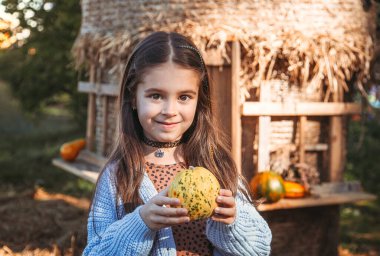 Sonbahar balkabağı hasadı. Çocuk ve portakal kabağı çiftçi pazarında ya da mevsimlik festivalde. Balkabaklarının arasında oynayan tatlı küçük kız. Şükran Günü ve Cadılar Bayramı.