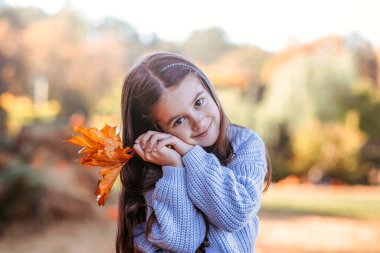 Sonbahar balkabağı hasadı. Çocuk ve portakal kabağı çiftçi pazarında ya da mevsimlik festivalde. Balkabaklarının arasında oynayan tatlı küçük kız. Şükran Günü ve Cadılar Bayramı.