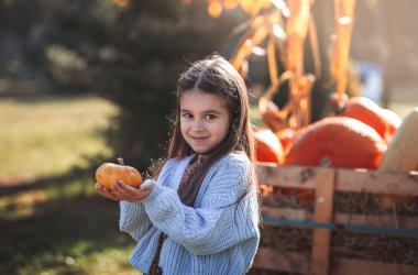 Sonbahar balkabağı hasadı. Çocuk ve portakal kabağı çiftçi pazarında ya da mevsimlik festivalde. Balkabaklarının arasında oynayan tatlı küçük kız. Şükran Günü ve Cadılar Bayramı.