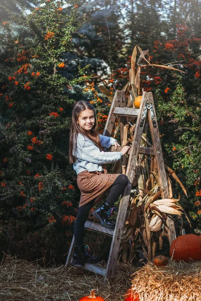 Φθινοπωρινή Συγκομιδή Κολοκύθας Παιδική Και Πορτοκαλί Κολοκύθα Στο Αγρόκτημα Αγορά — Φωτογραφία Αρχείου