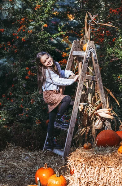 Φθινοπωρινή Συγκομιδή Κολοκύθας Παιδική Και Πορτοκαλί Κολοκύθα Στο Αγρόκτημα Αγορά — Φωτογραφία Αρχείου