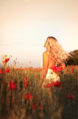 Gün batımında haşhaş tarlasında beyaz elbiseli güzel sarışın kadın. Kadın ve doğa