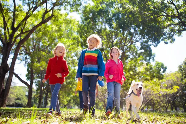 Sonbahar parkında aile yürüyüşü. Çocuklar güneşli ormanda oynarlar. Açık hava eğlencesi. Anne, baba ve çocuklar güneşli sonbahar gününde köpeği gezdirirler. Yağmurluk giyen kız ve erkek. Ailesi oğlu ve kızı var..