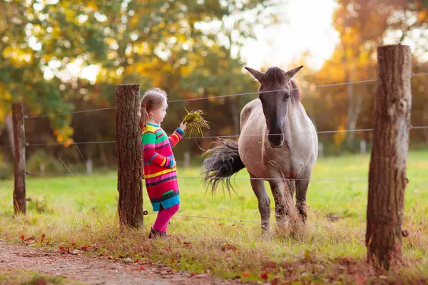 Little girl feeding a horse. Kid playing with pet horses. Child feeding animal on a ranch on cold fall day. Family on a farm in autumn. Outdoor fun for children.