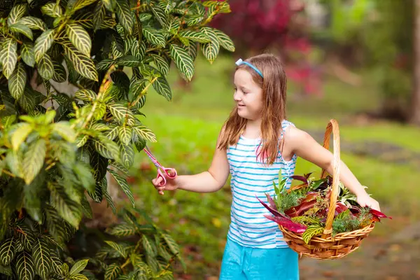 Ребенок Собирает Цветные Осенние Листья Корзину Ребенок Играет Листьями Деревьев Стоковое Фото