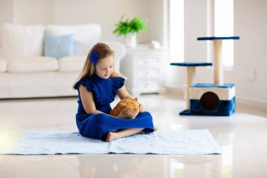 Çocuk evde kediyle oynuyor. Çocuklar ve evcil hayvanlar. Küçük kız zencefil renkli kediyi besleyip okşuyor. Oturma odasının içinde kediler ağaç ve kazı kazan var. Çocuklar oynar ve yavru kedileri besler. Ev hayvanları.