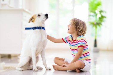 Çocuk yavru köpekle oynuyor. Çocuklar köpek yavrusuyla oynar. Küçük çocuk ve büyük köpek evde. Çocuklar ve arkadaşlık. Çocuk evcil hayvanıyla yerde oturuyor. Hayvan bakımı..