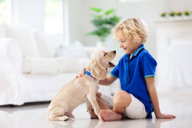 Çocuk yavru köpekle oynuyor. Çocuklar köpek yavrusuyla oynar. Küçük çocuk ve Amerikan cocker spaniel evdeki kanepede. Çocuklar ve evcil hayvanlar evde. Çocuk evcil hayvanıyla yerde oturuyor. Hayvan bakımı..