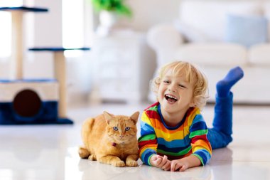 Çocuk evde kediyle oynuyor. Çocuklar ve evcil hayvanlar. Küçük çocuk zencefil renkli kediyi besleyip okşuyor. Oturma odasının içinde kediler ağaç ve kazı kazan var. Çocuklar oynar ve yavru kedileri besler. Ev hayvanları.