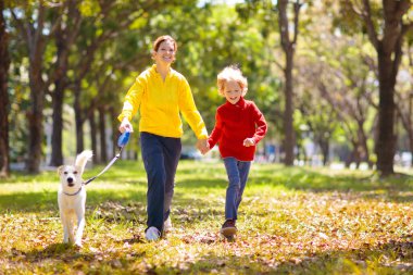 Sonbahar parkında aile yürüyüşü. Çocuklar güneşli ormanda oynarlar. Açık hava eğlencesi. Anne, baba ve çocuklar güneşli sonbahar gününde köpeği gezdirirler. Yağmurluk giyen kız ve erkek. Ailesi oğlu ve kızı var..