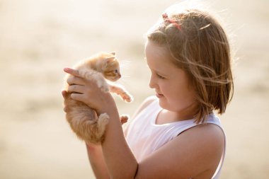 Bebek kedi kucağında. Çocuklar ve evcil hayvanlar. Küçük kız yaz bahçesinde küçük sevimli kediciğe sarılıyor. Çocuklu bir aile hayvanı. Evcil hayvanları olan çocuklar.. 