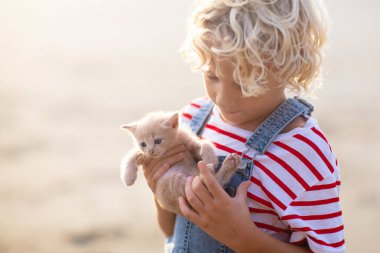 Bebek kedi kucağında. Çocuklar ve evcil hayvanlar. Küçük kız yaz bahçesinde küçük sevimli kediciğe sarılıyor. Çocuklu bir aile hayvanı. Evcil hayvanları olan çocuklar.. 