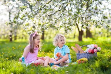 Bahar Parkı 'nda çiçek açan kiraz ağaçlarıyla aile pikniği. Çocuklar dışarıda meyve ve ekmek yiyorlar. Çiçekli elma bahçesinde piknik sepetiyle battaniyenin üzerinde oturuyorlar. Çocuklar için sağlıklı beslenme.