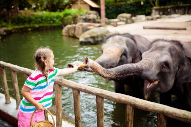 Aile fil hayvanat bahçesinde. Çocuk Asya filler tropikal safari parkında Singapur'da yaz tatili besleme. Çocuklara göz kulak hayvanlar. Vahşi hayvan için meyve veren küçük kız.