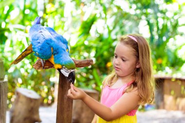 Tropik hayvanat bahçesinde papağan besleyen çocuk. Büyük yağmur ormanı kuşuyla oynayan çocuk. Çocuklar ve evcil hayvanlar. Çocuklar güneşli yaz gününde safari parkında vahşi hayvanları oynar ve beslerler. Küçük kız papağan izliyor.