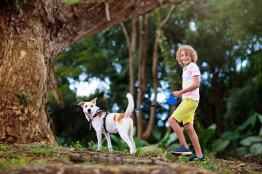 Çocuk ve köpek yaz parkında yürür. Küçük çocuk köpeğiyle oynuyor. Aile köpeği. Çocuklar ve evcil hayvanlar arkadaşlığı. Hayvan sevgisi ve ilgisi. Çocuklar ve evcil hayvanlar.
