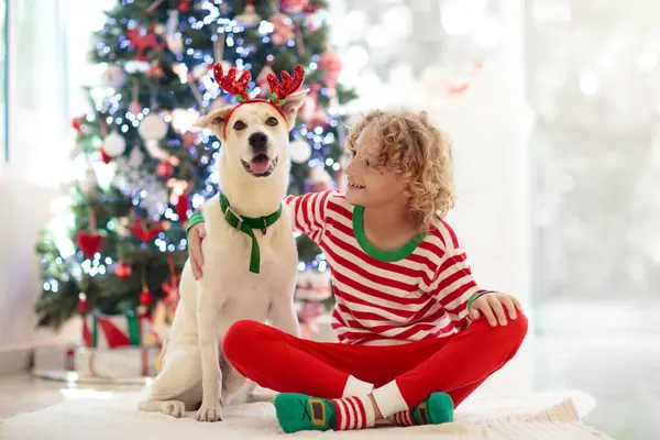 Evde Noel. Çocuklar ve köpek yılbaşı ağacının altında. Küçük oğlan ve kız Noel Baba şapkalı evcil hayvana sarılıp Noel hediyelerini açıyor. Çocuklar hayvanlarla oynar. Kış bayramı kutlaması. Aşk ve arkadaşlık.