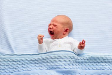 Yatakta ağlayan yeni doğmuş bebek. Mavi örgü battaniyenin altında uyuyan yeni doğmuş bir çocuk. Çocuklar ağlar. Çocuklar için yatak. Yatakta bebek şekerlemesi. Doğumdan kısa bir süre sonra sağlıklı küçük bir çocuk. Kablo örme tekstili.