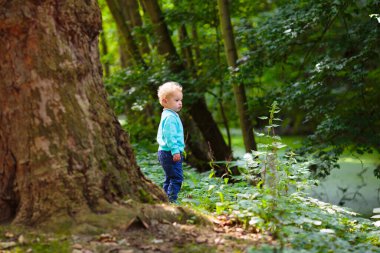 Çocuklar doğayı keşfeder. Çocuklar güneşli parkta oynarlar. Çocuk güzel bir yaz parkında oyun parkında. Aktif aile için açık hava eğlencesi. Çocuk sallanıyor ve kayıyor..