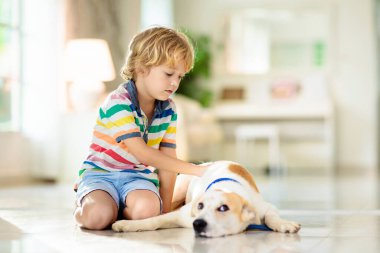 Çocuk yavru köpekle oynuyor. Çocuklar köpek yavrusuyla oynar. Küçük çocuk ve büyük köpek evde. Çocuklar ve arkadaşlık. Çocuk evcil hayvanıyla yerde oturuyor. Hayvan bakımı..