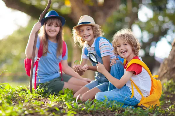 Çocuklar doğayı keşfeder. Çocuklar güneşli yaz parkında yürüyüş yaparlar. İzci kulübü ve açık hava bilimi dersi. Erkek ve kız büyüteçle bitkileri izliyor. Çocuk çevreyi keşfediyor. Genç kaşif macerası.