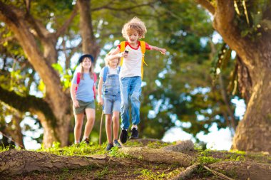 Çocuklar doğayı keşfeder. Çocuklar güneşli yaz parkında yürüyüş yaparlar. İzci kulübü ve açık hava bilimi dersi. Erkek ve kız büyüteçle bitkileri izliyor. Çocuk çevreyi keşfediyor. Genç kaşif macerası.