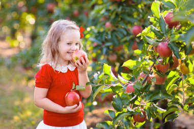 Sonbaharda bir çiftlikte elma toplayan bir çocuk. Elma ağacı bahçesinde oynayan küçük bir kız. Çocuklar sepetten meyve toplar. Sonbahar hasadında meyve yiyen bir çocuk. Çocuklar için açık hava eğlencesi. Sağlıklı beslenme.