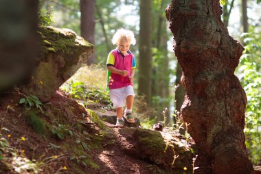 Orman ve dağlar hiking çocuk. Çocuklar yaz aylarında açık oynar. Küçük erkek ve kız Milli parkta yürüyüş izinde. Açık eğlenceli ve sağlıklı etkinliği.