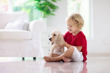 Çocuk yavru köpekle oynuyor. Çocuklar köpek yavrusuyla oynar. Küçük çocuk ve Amerikan cocker spaniel evdeki kanepede. Çocuklar ve evcil hayvanlar evde. Çocuk evcil hayvanıyla yerde oturuyor. Hayvan bakımı..