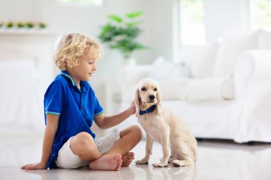 Çocuk yavru köpekle oynuyor. Çocuklar köpek yavrusuyla oynar. Küçük çocuk ve Amerikan cocker spaniel evdeki kanepede. Çocuklar ve evcil hayvanlar evde. Çocuk evcil hayvanıyla yerde oturuyor. Hayvan bakımı..