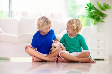 Bebek köpekle oynayan çocuk. Köpek yavrusu olan çocuklar. Küçük çocuk ve Amerikan cocker spaniel evde kanepede. Çocuklar ve evcil hayvanlar evde. Çocuk yerde evcil hayvanla oturuyor. Hayvan bakımı. Kardeşler oyna.