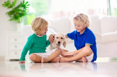 Bebek köpekle oynayan çocuk. Köpek yavrusu olan çocuklar. Küçük çocuk ve Amerikan cocker spaniel evde kanepede. Çocuklar ve evcil hayvanlar evde. Çocuk yerde evcil hayvanla oturuyor. Hayvan bakımı. Kardeşler oyna.