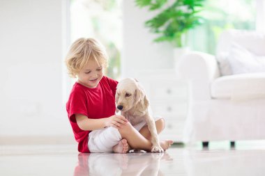 Çocuk yavru köpekle oynuyor. Çocuklar köpek yavrusuyla oynar. Küçük çocuk ve Amerikan cocker spaniel evdeki kanepede. Çocuklar ve evcil hayvanlar evde. Çocuk evcil hayvanıyla yerde oturuyor. Hayvan bakımı..
