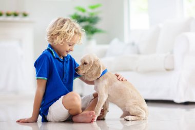 Çocuk yavru köpekle oynuyor. Çocuklar köpek yavrusuyla oynar. Küçük çocuk ve Amerikan cocker spaniel evdeki kanepede. Çocuklar ve evcil hayvanlar evde. Çocuk evcil hayvanıyla yerde oturuyor. Hayvan bakımı..