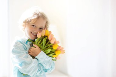 Çiçek buketi olan çocuk. Anneler günü selamı. Bir sürü lalesi olan küçük bir çocuk. Anneme bir hediye. Bahar doğum günü hediyesi. Güneşli oturma odasında annesi için düzinelerce çiçek tutan bir çocuk..