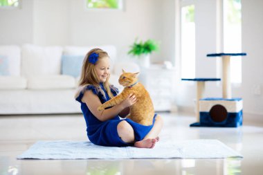 Çocuk evde kediyle oynuyor. Çocuklar ve evcil hayvanlar. Küçük kız zencefil renkli kediyi besleyip okşuyor. Oturma odasının içinde kediler ağaç ve kazı kazan var. Çocuklar oynar ve yavru kedileri besler. Ev hayvanları.