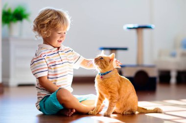 Çocuk evde kediyle oynuyor. Çocuklar ve evcil hayvanlar. Küçük çocuk zencefil renkli kediyi besleyip okşuyor. Oturma odasının içinde kediler ağaç ve kazı kazan var. Çocuklar oynar ve yavru kedileri besler. Ev hayvanları.