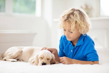 Bebek köpekle oynayan çocuk. Çocuklar köpek yavrusuyla oynar. Küçük çocuk ve Amerikan cocker spaniel evde yatakta. Çocuklar ve evcil hayvanlar evde. Çocuk evcil hayvanla şekerleme yapıyor. Hayvan bakımı.