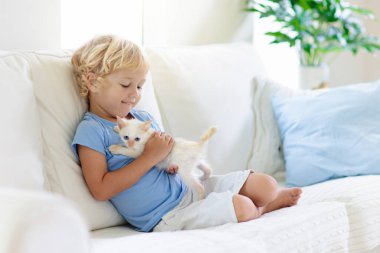 Çocuk yavru kediyle oynuyor. Beyaz kediciği tutan çocuk. Küçük çocuk evdeki güneşli oturma odasında kanepede oturan sevimli hayvanlara sarılıyor. Çocuklar evcil hayvanlarla oynar. Çocuklar ve evcil hayvanlar.