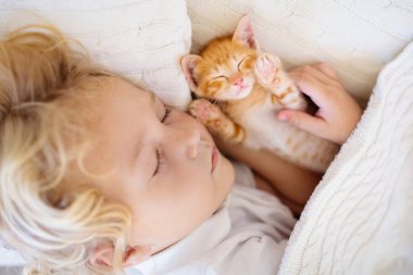 Bebek, beyaz örgü battaniyenin üzerinde kedi yavrusuyla uyuyor. Çocuk ve kedi. Çocuklar ve evcil hayvanlar. Hayvanı olan küçük çocuk. Evcil hayvanla sıcak bir kış akşamı. Çocuklar hayvanlarla oynar. Bebek ve kedi uyuyor..