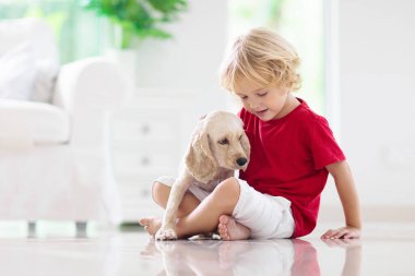 Çocuk yavru köpekle oynuyor. Çocuklar köpek yavrusuyla oynar. Küçük çocuk ve Amerikan cocker spaniel evdeki kanepede. Çocuklar ve evcil hayvanlar evde. Çocuk evcil hayvanıyla yerde oturuyor. Hayvan bakımı..