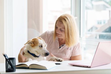 Dizüstü bilgisayarı ve cep telefonu olan bir kadın köpekle oynuyor. Evden çalışıyorum. Ev sahibinin çalışmasını izlemek komik. Güneşli ofiste güzel, mutlu bir kadın. İşyerinde serbest çalışan biri. Online alışveriş ve bankacılık.