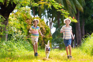 Güneşli yaz gününde dışarıda koşan çocuklu bir aile. Kardeşler bahçede oynarlar. Çocuk ve kız parkta köpek gezdiriyorlar. Çocuk ve evcil hayvanla tatil. Bir grup okul çocuğu bir köpek yavrusuyla koşuyor..