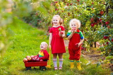 Meyve bahçesinde elma toplama çocuk. Kız, çocuk ve bebek elma ağacı meyve bahçesinde oynamak. Çocuklar ile bir tekerlek barrow sonbaharda meyve al. Küçük çiftçiler sonbaharda hasat elma ye. Aile için açık eğlenceli