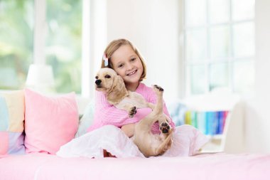 Bebek köpekle oynayan çocuk. Çocuklar köpek yavrusuyla oynar. Küçük kız ve Amerikan cocker spaniel evde yatakta. Çocuklar ve evcil hayvanlar evde. Çocuk evcil hayvanla şekerleme yapıyor. Hayvan bakımı.